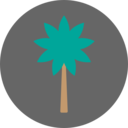 summertime,beach,summer,nature,tropical,botanical,palm tree ok 